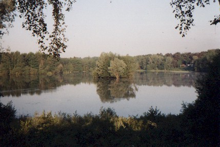 waldsee2.jpg (41105 Byte)